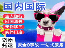 兴东空运公司国际宠物托运 【国